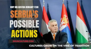 Serbia's Threat: Austria-Hungary's Fear and Action