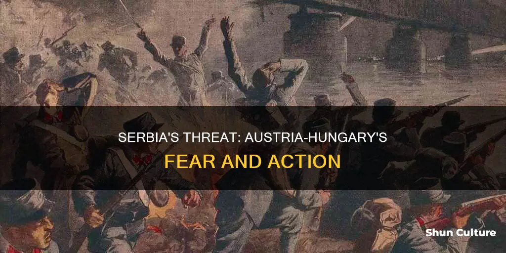 why did austria hungary fear serbia
