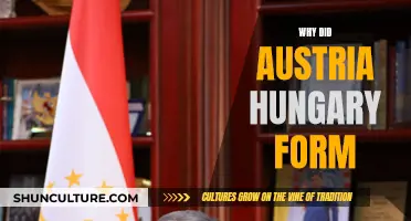 The Complex Alliance of Austria-Hungary: Why It Formed