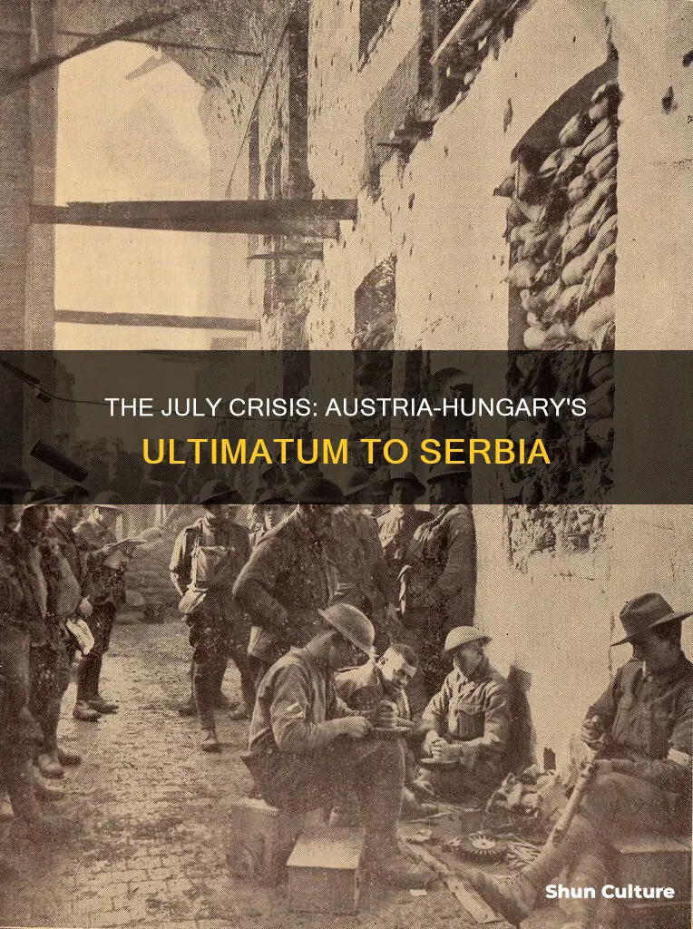 why did austria hungary gave serbia an ultimatum