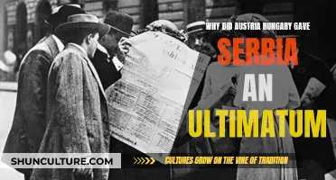 Ultimatum to Serbia: Austria-Hungary's Demands and Motives
