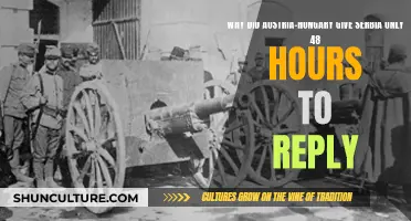 Serbia's Ultimatum: Austria-Hungary's 48-Hour Reply Demand