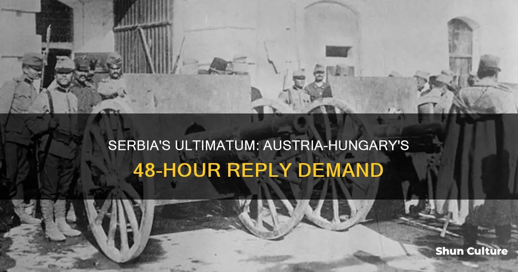 why did austria-hungary give serbia only 48 hours to reply