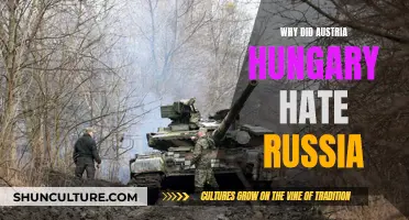 Russia's Threat: Austria-Hungary's Fear and Enmity