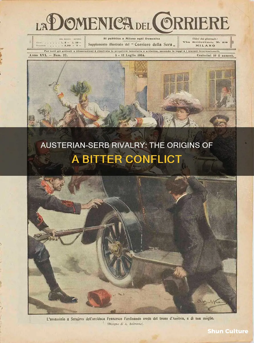 why did austria hungary hate serbia