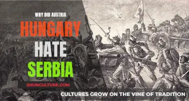 The Balkan Powder Keg: Austria-Hungary's Serbian Animosity