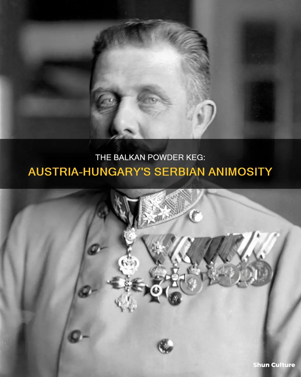 why did austria hungary hate serbia