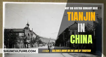 Austria-Hungary's Tianjin Concession: A Complex Historical Legacy