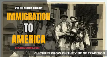 A Journey of Persecution: Austria-Hungary's Immigrants Seek Freedom in America