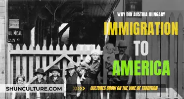 Austria-Hungary's Exodus: Seeking New Lives in America