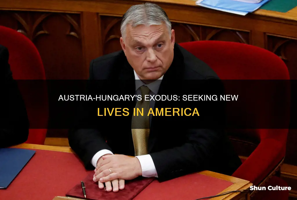 why did austria-hungary immigration to america