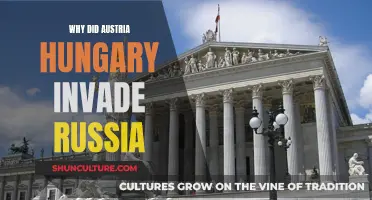 Austria-Hungary's Invasion of Russia: Understanding Motives