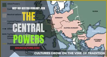 Austria-Hungary's Alliance: Why They Joined the Central Powers