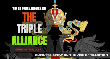 The Triple Alliance: Austria-Hungary's Strategic Alliance