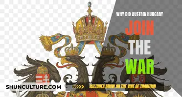 Austria-Hungary's Fateful Decision to Join World War I