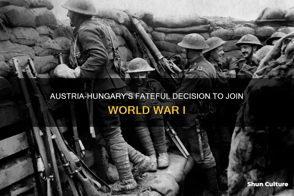 why did austria hungary join the war