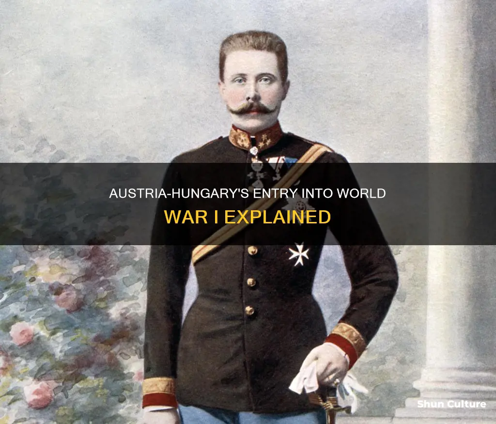 why did austria hungary join ww1