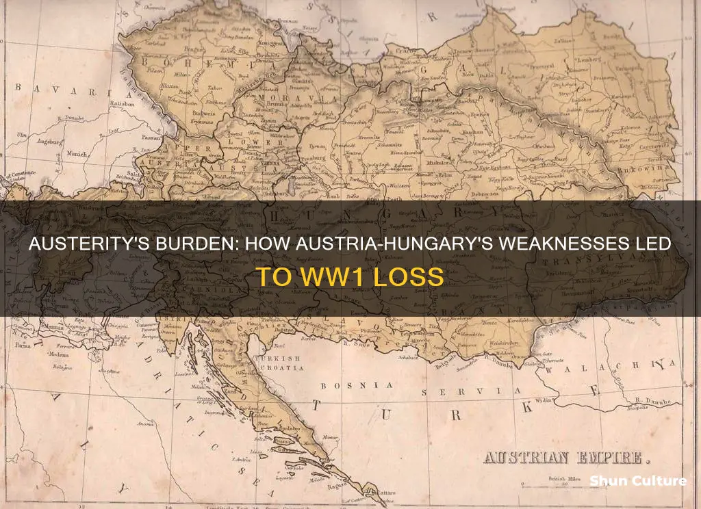 why did austria hungary lose ww1