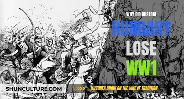 Austria-Hungary's Loss: Factors Leading to Defeat in WWI