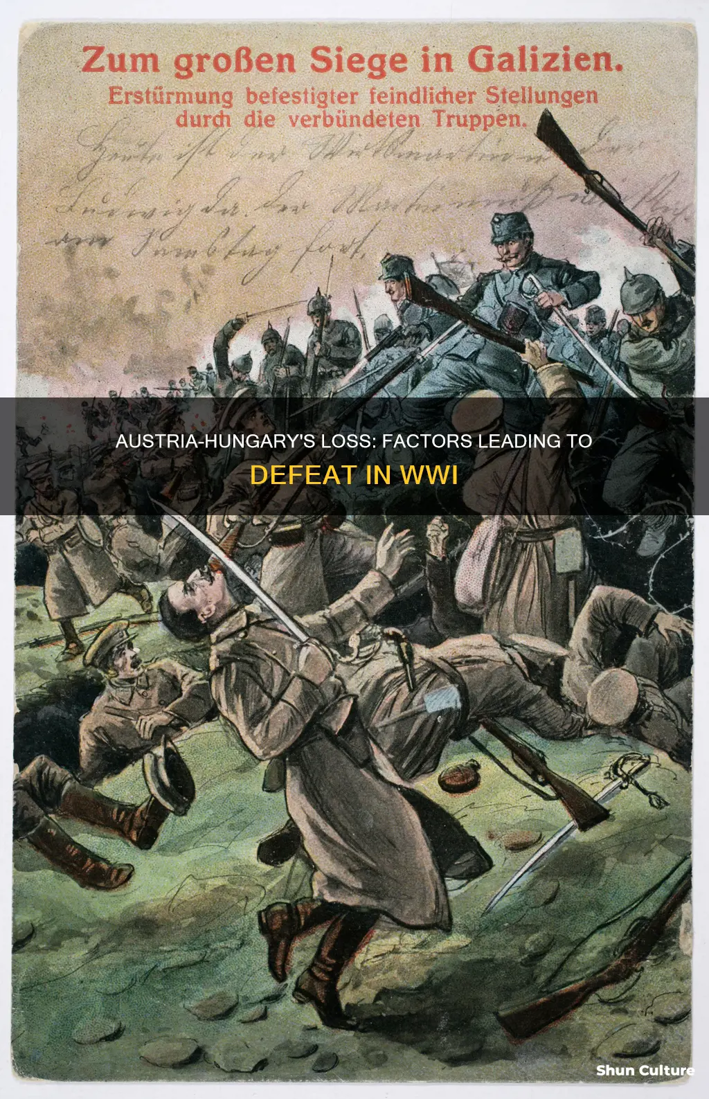 why did austria hungary lose ww1