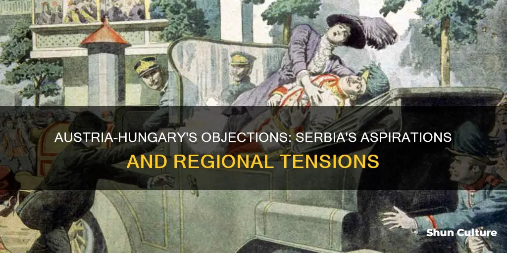 why did austria hungary object to serbia
