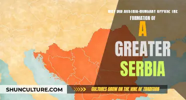 Serbia's Rise: Austria-Hungary's Fear and Opposition