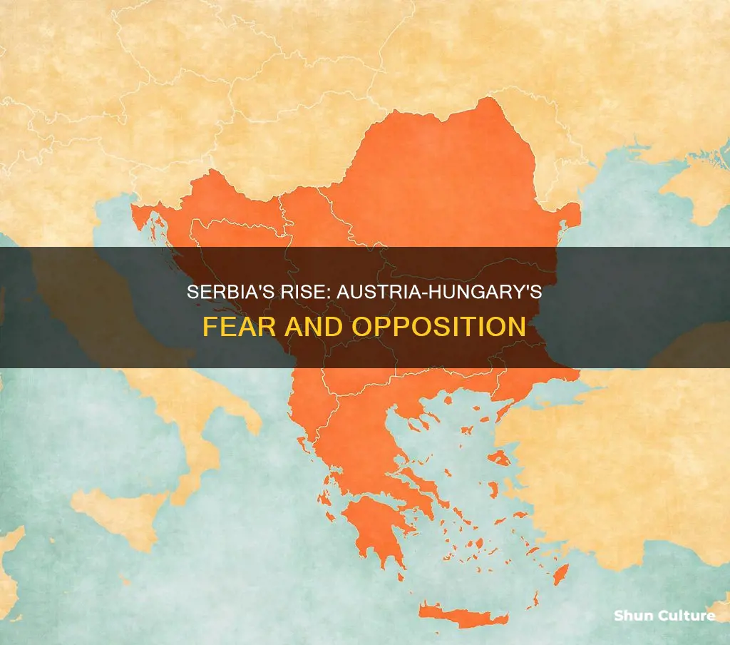 why did austria-hungary oppose the formation of a greater serbia