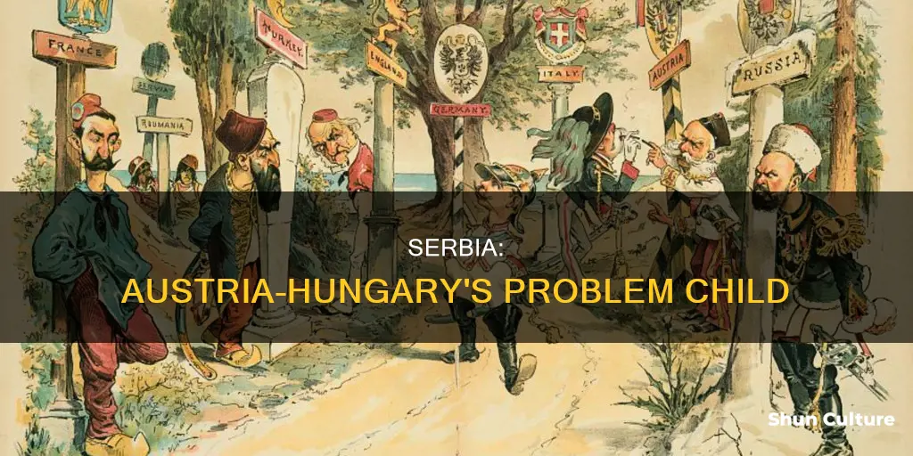 why did austria hungary see serbia as a problem