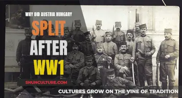 The Fall of Austria-Hungary: Post-WW1 Divide