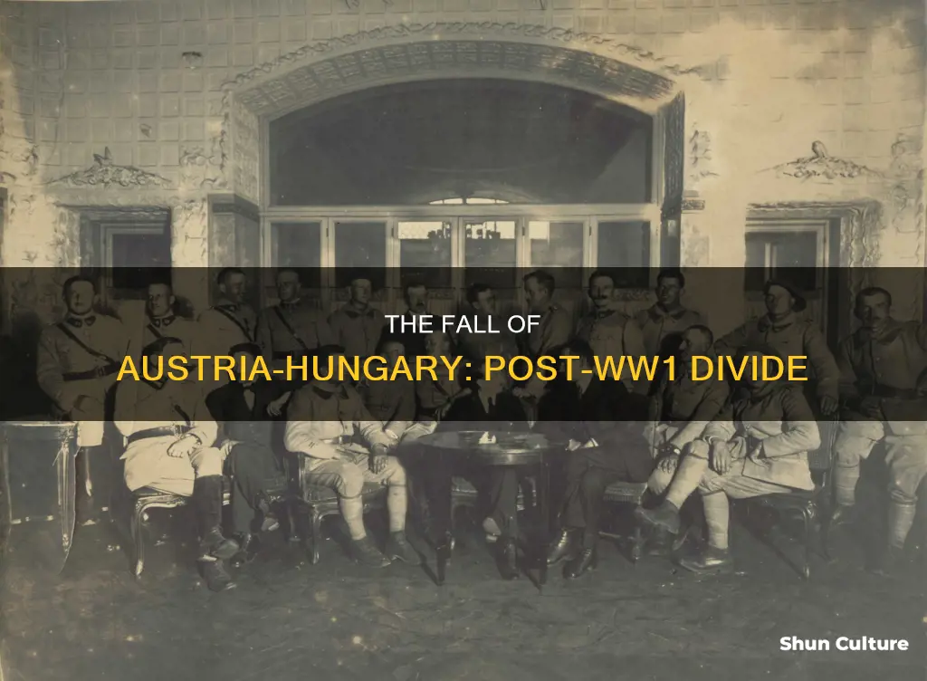 why did austria hungary split after ww1