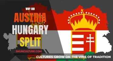 The Complex Breakup of Austria-Hungary: Understanding the Split