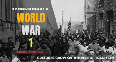 The Complex Motives Behind Austria-Hungary's World War I Entry