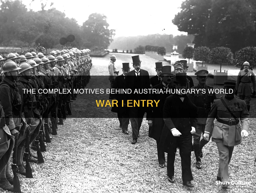 why did austria hungary start world war 1