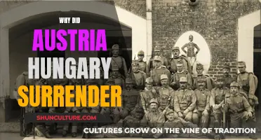 Austerity's End: Why Austria-Hungary Relented to the Allies