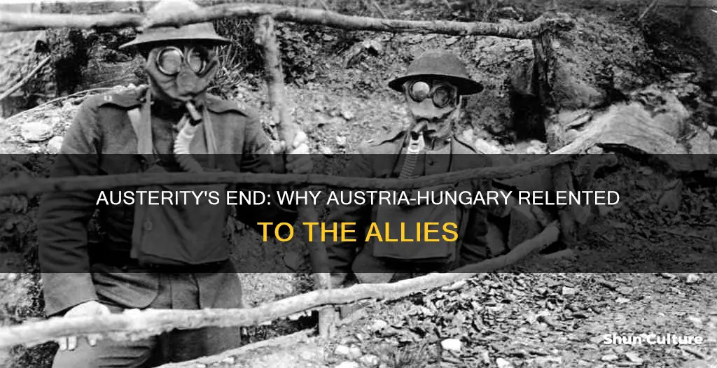 why did austria hungary surrender