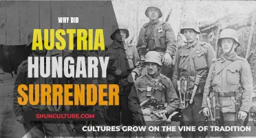 The Fall of Austria-Hungary: Why They Surrendered
