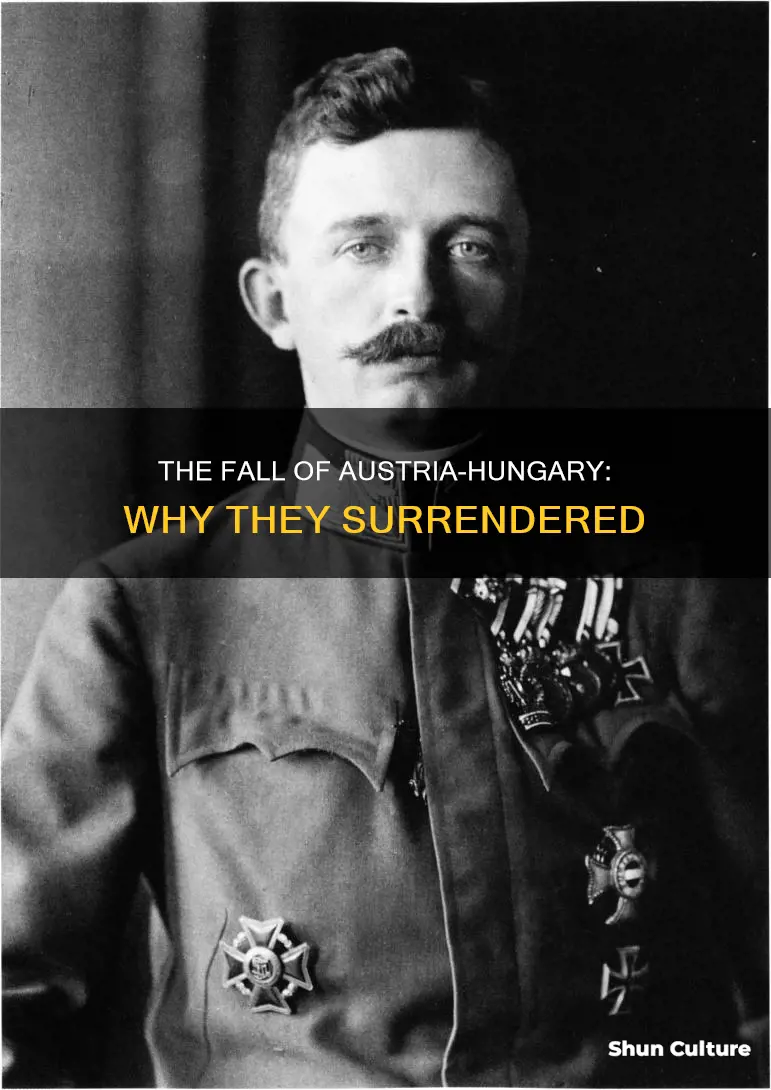 why did austria hungary surrender