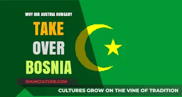 Austria-Hungary's Annexation of Bosnia: Motives and Consequences Explained