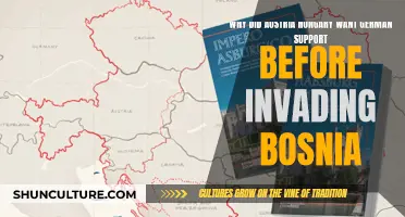 Austria-Hungary's German Alliance: A Prelude to Bosnian Invasion