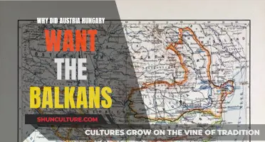 Austria-Hungary's Balkan Ambitions: Power and Influence