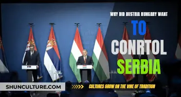 Austria-Hungary's Control Over Serbia: Why?