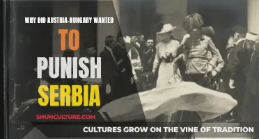 The Serbian Crisis: Austria-Hungary's Punitive Measures Explained