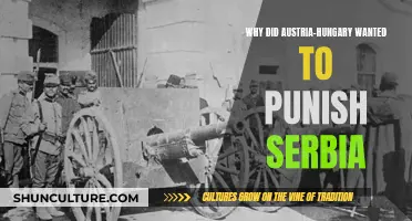 Austria-Hungary's Punishment of Serbia: Why?