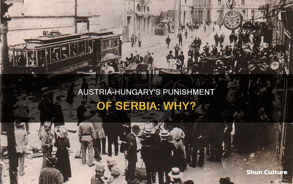 why did austria-hungary wanted to punish serbia