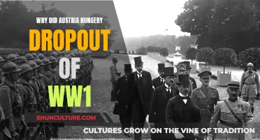 Austria-Hungary's Exit: Understanding Their Decision to Leave WW1