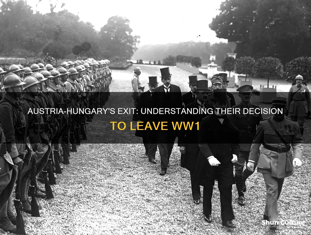 why did austria hungery dropout of ww1