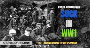 Austria-Hungary's World War I: Strategic Blunders and Military Failures