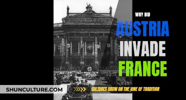 Austria's Ambitions: The Franco-Austrian War Explained