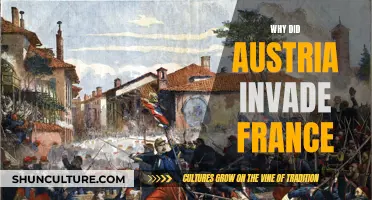 Austria's Invasion of France: Understanding the Historical Motives