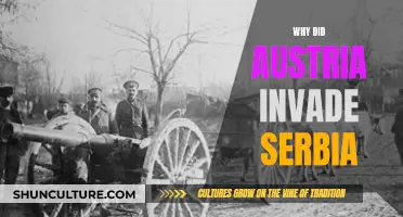 Austria's Invasion of Serbia: Understanding the Catalyst for War
